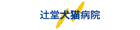 辻堂犬猫病院