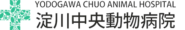 淀川中央動物病院