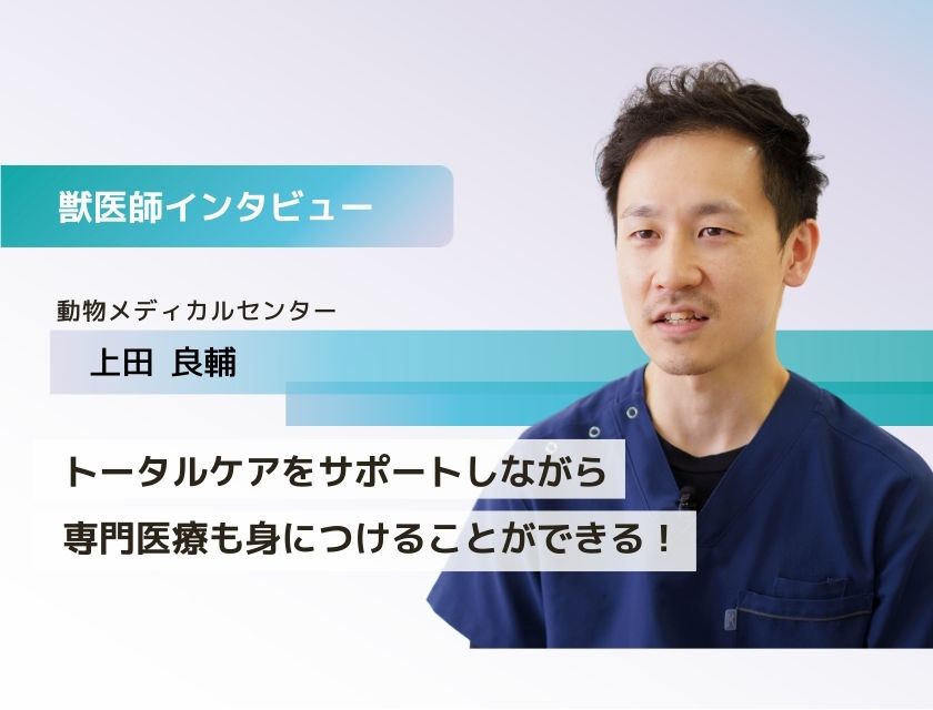 獣医師 上田先生(動物メディカルセンター)