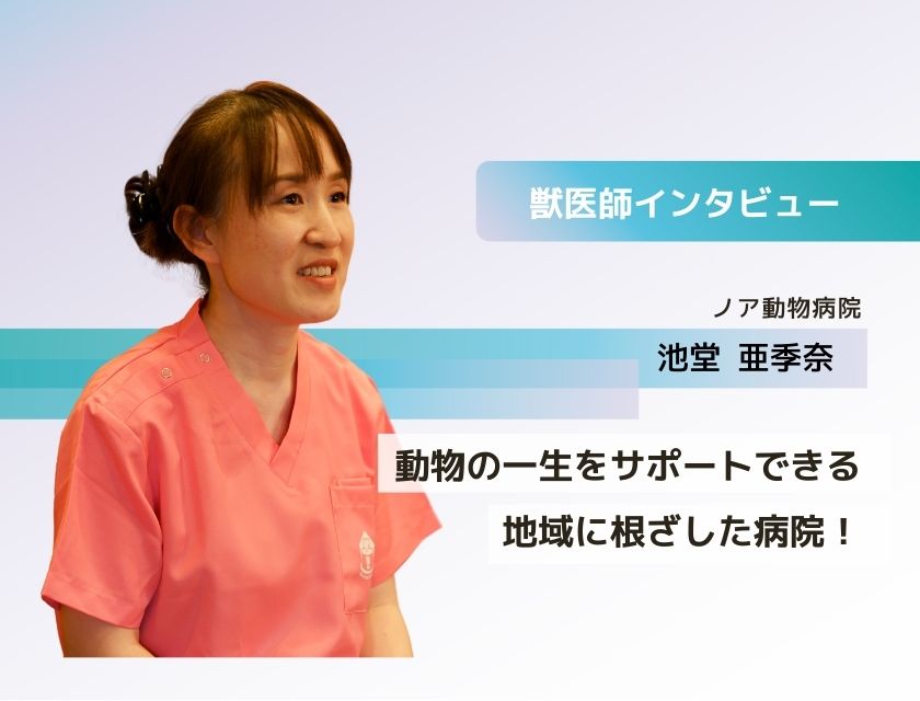 獣医師 池堂先生(ノア動物病院)