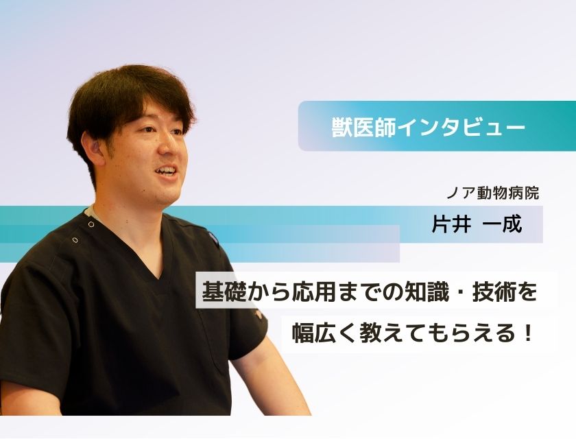 獣医師 片井先生(ノア動物病院)