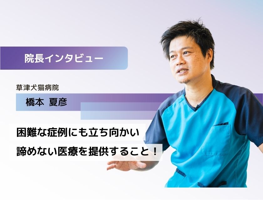 獣医師 橋本先生(草津犬猫病院)