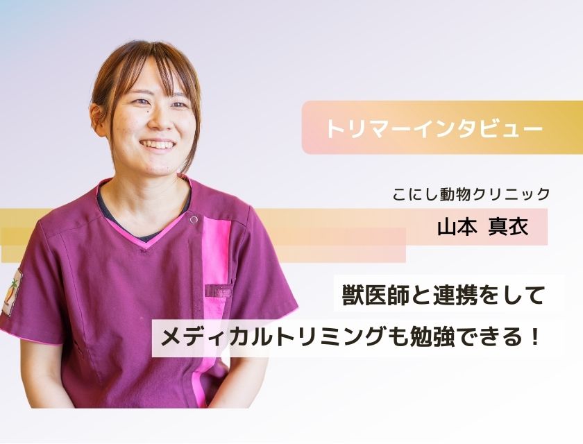 トリマー 山本さん(こにし動物クリニック)