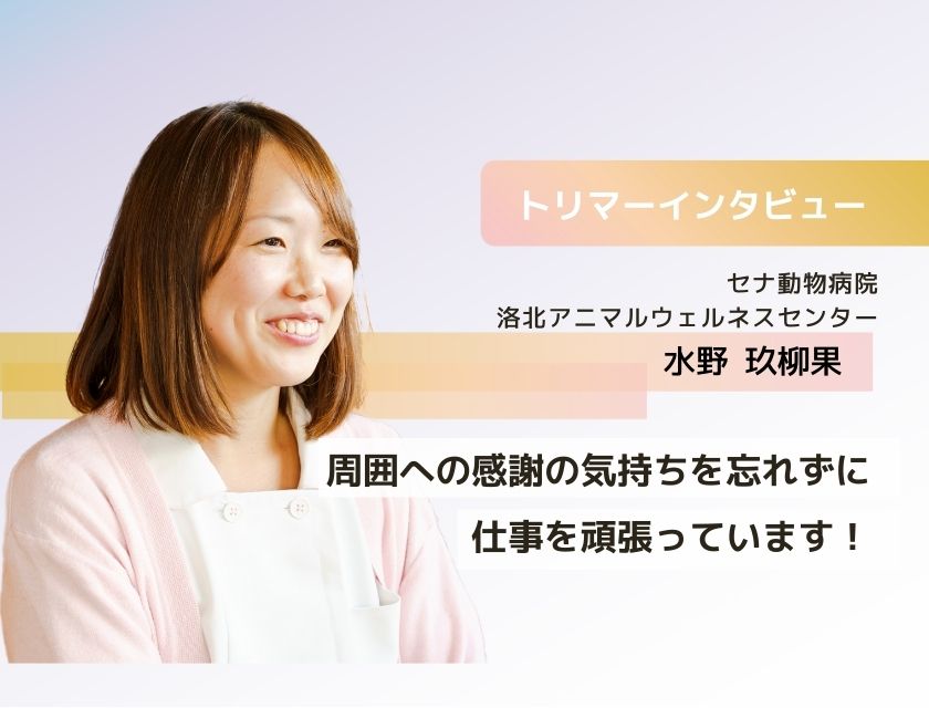 トリマー 水野さん(セナ動物病院 洛北アニマルウェルネスセンター)