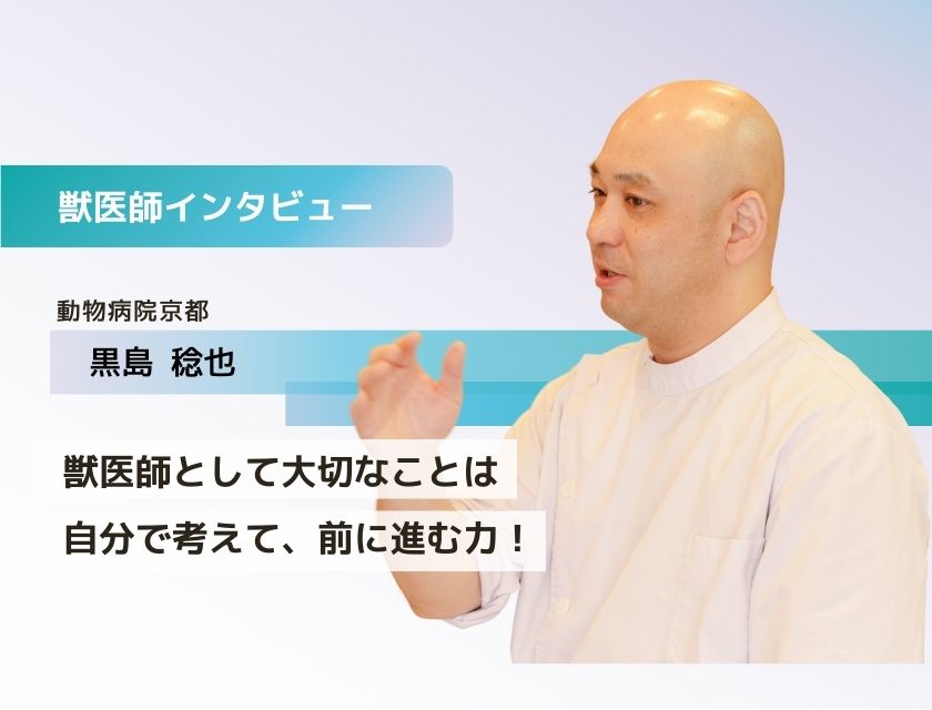 獣医師 黒島先生(動物病院京都)