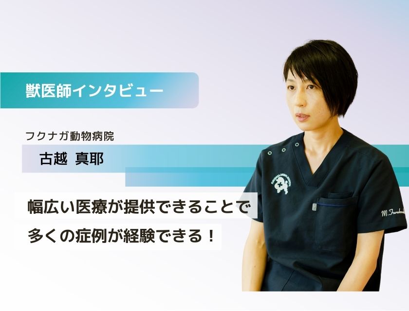 獣医師 古越先生(フクナガ動物病院)