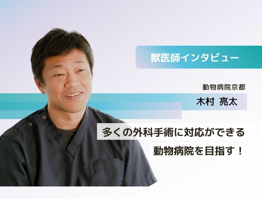 獣医師 木村先生(動物病院京都)