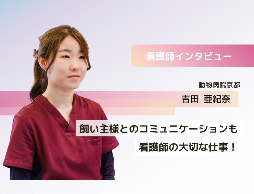 アニマルケアスタッフ 吉田さん(動物病院京都)