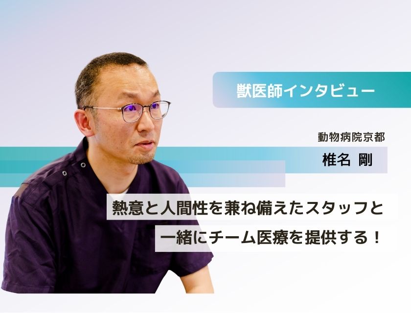 獣医師 椎名先生(動物病院京都)