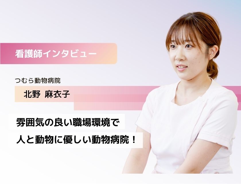 動物診療助手 北野さん（つむら動物病院）