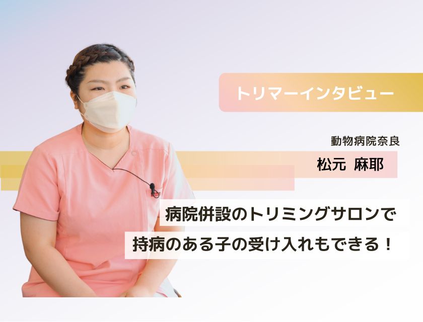 トリマー 松元さん(動物病院奈良)
