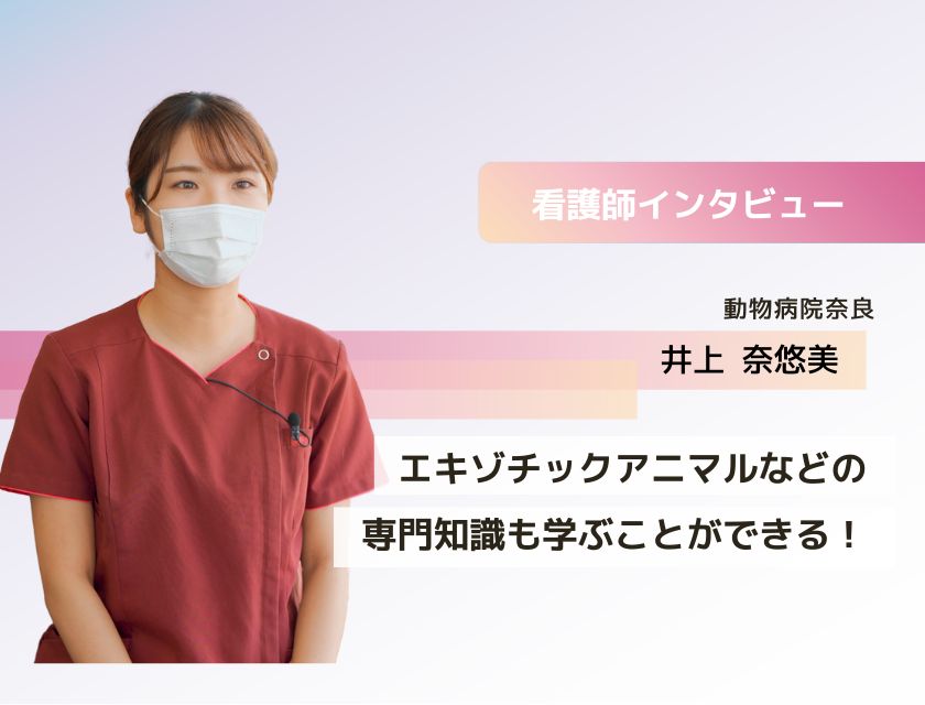 動物看護師 井上さん(動物病院奈良)