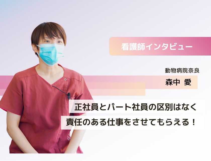 動物看護師 森中さん(動物病院奈良)