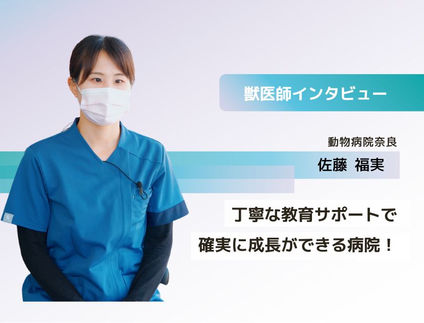獣医師 佐藤先生(動物病院奈良)