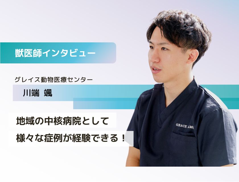 獣医師 川端先生（グレイス動物医療センター）