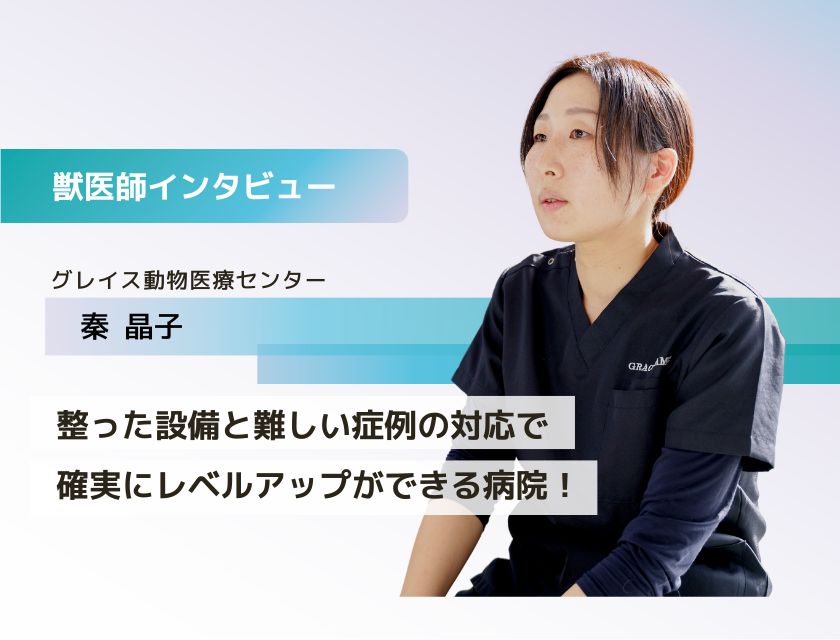 獣医師 秦先生（グレイス動物医療センター）