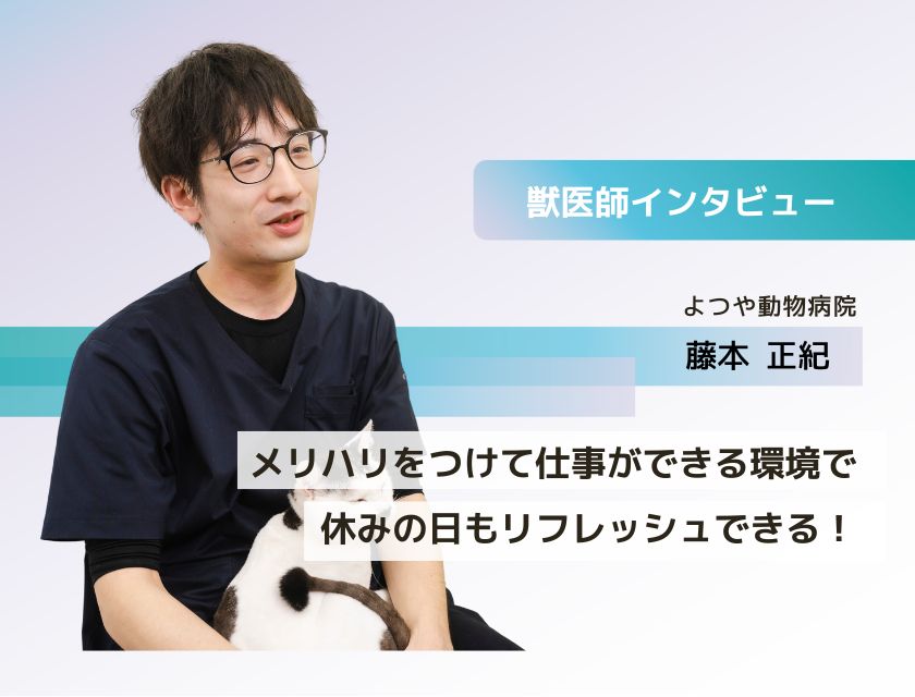 獣医師 藤本先生(よつや動物病院)