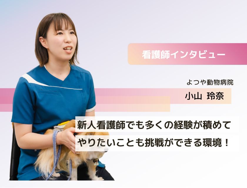 愛玩動物看護師 小山さん(よつや動物病院)