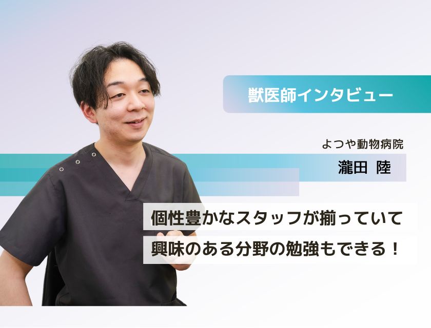 獣医師 瀧田先生(よつや動物病院)