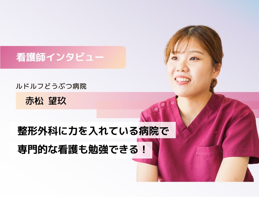 看護師 赤松さん(ルドルフどうぶつ病院)