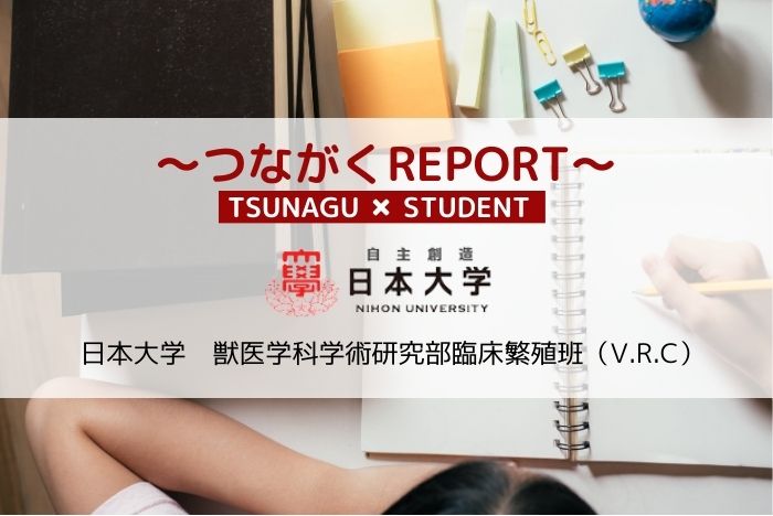 【つながくREPORT】獣医学科学術研究部臨床繁殖班(V.R.C)
