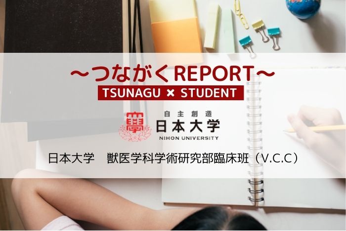 【つながくREPORT】獣医学科学術研究部臨床班(V.C.C)