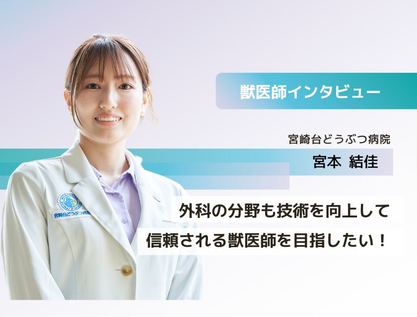 獣医師 宮本先生(宮崎台どうぶつ病院)