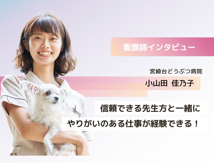 看護師 小山田さん(宮崎台どうぶつ動物病院)